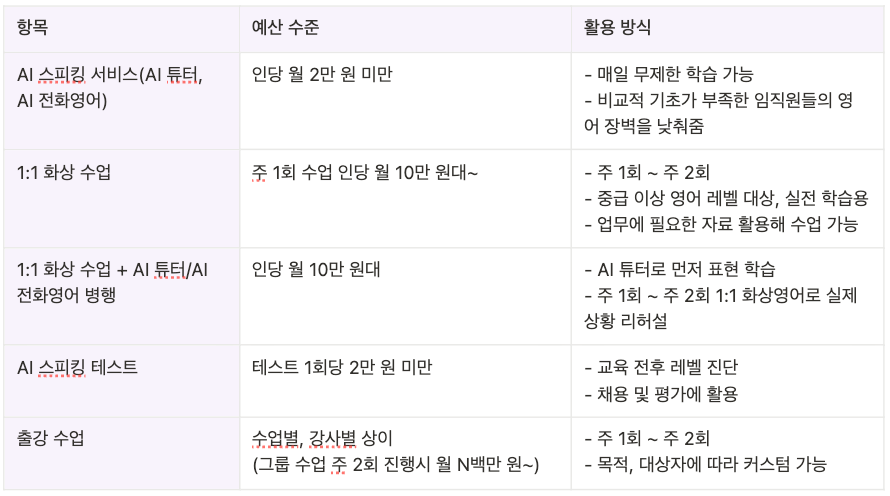 기업 영어 교육 프로그램에 사용될 수 있는 다양한 서비스별로 소요 예산과 활용 방식을 소개한 표.