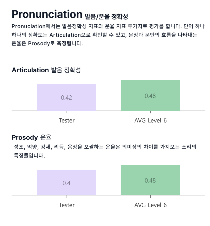 AI 테스트 결과 리포트 중 Pronunciation (발음) 부분 (예시)